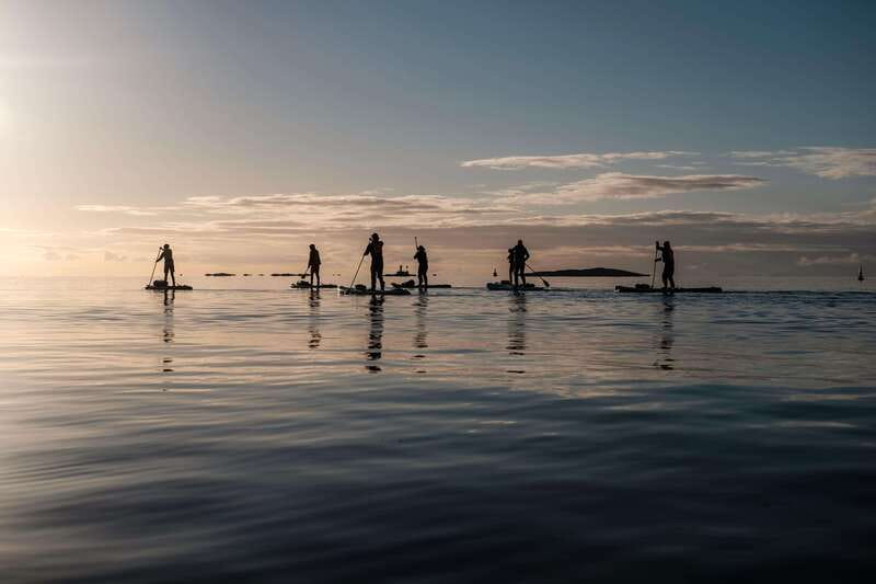 Victoria: Marine Wildlife Guided SUP Adventure - Victoria marine wildlife SUP, and why it feels different