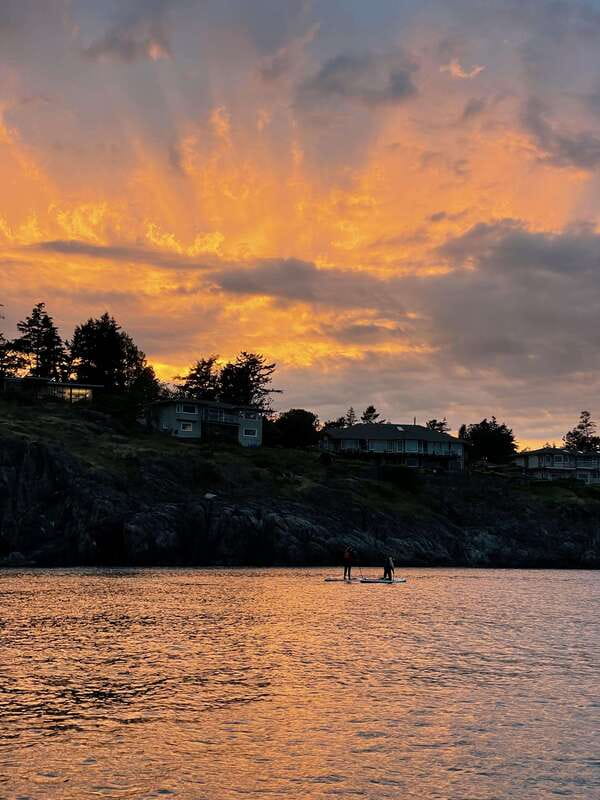 Victoria: Marine Wildlife Guided SUP Adventure - What it feels like on the water, especially when the day is calm