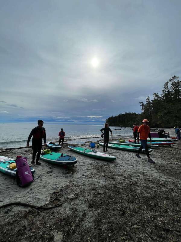 Victoria: Marine Wildlife Guided SUP Adventure - Weather, ocean conditions, and why your route might change