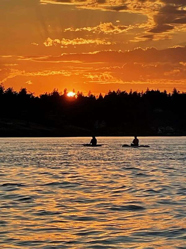 Victoria: Marine Wildlife Guided SUP Adventure - Who this SUP tour fits best (and who should be cautious)