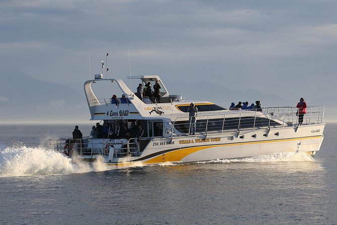 Victoria Marine Wildlife Tour - From 1 Dallas Rd to Open-Water Watching