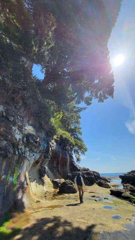 Victoria: Old Growth Rainforest Canyon Waterfall and Beaches - Sombrio Beach hike: cobble shoreline walking with big ocean energy
