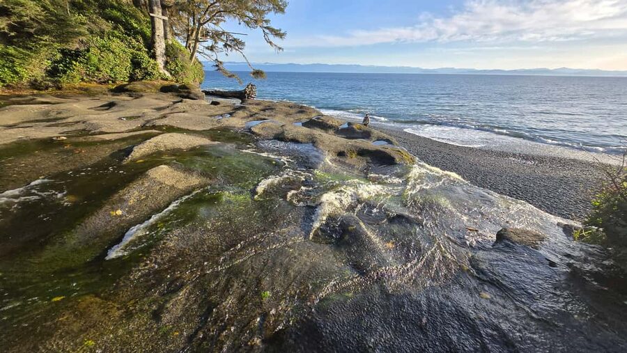Victoria: Old Growth Rainforest Canyon Waterfall and Beaches - Lunch and Coastal Kitchen Cafe: fuel that keeps your energy steady