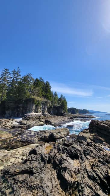 Victoria: Old Growth Rainforest Canyon Waterfall and Beaches - Shirley Delicious coffee stop: the small reset before the real hiking