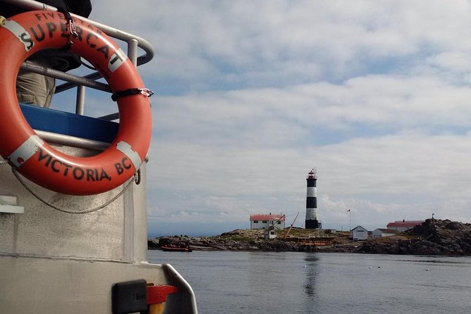 Victoria Shore Excursion: Whale-Watching Cruise with Expert Naturalist Guides - Comfort Tips That Actually Help on the Water