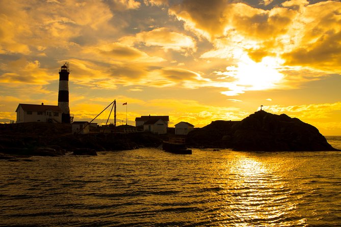 Victoria Sunset Whale-Watching Cruise - Wildlife you might see, and what to watch for