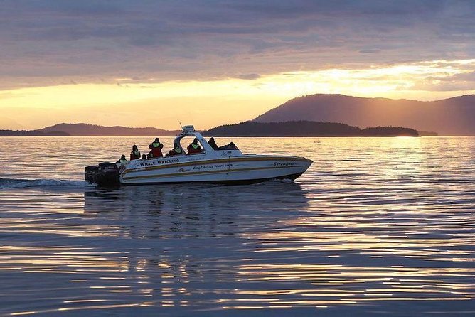Victoria Sunset Whale-Watching Cruise - Who this tour suits best, and who should be cautious