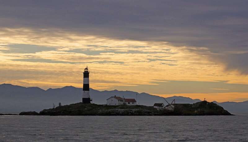 Victoria: Sunset Whale Watching Tour on an Open Scarab Boat - Sunset timing that saves you from the crowds