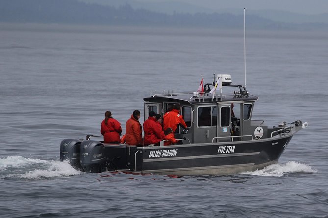Victoria Ultimate Marine Whale & Wildlife Tour - Respecting Whales, and Why Safety Rules Make the Experience Better
