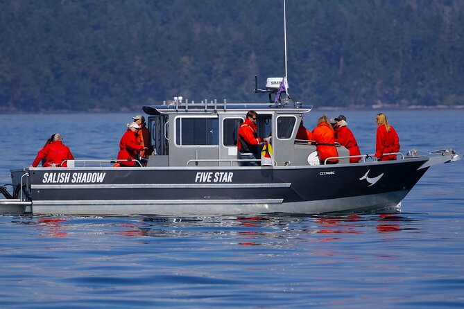 Victoria Ultimate Marine Whale & Wildlife Tour - Guides and On-Board Commentary: The Difference Between Seeing and Understanding