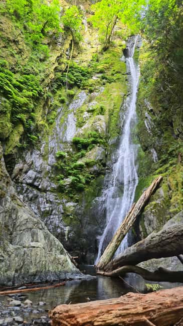 Victoria Waterfall, Skywalk, Beach Picnic, Castle and Whales - Goldstream Park Old Growth: Where the Walk Feels Alive