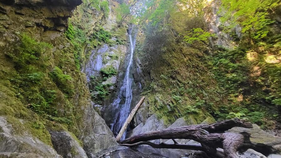 Victoria Waterfall, Skywalk, Beach Picnic, Castle and Whales - Timing and What to Plan for Before You Go