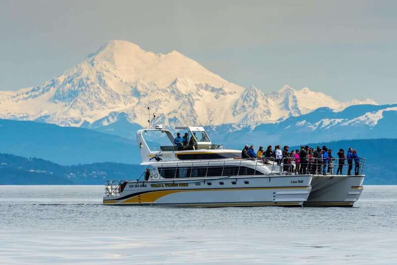Victoria: Whale and Wildlife Semi-Covered Boating Tour - First Look: A Semi-Covered Catamaran from Victoria’s Dallas Road
