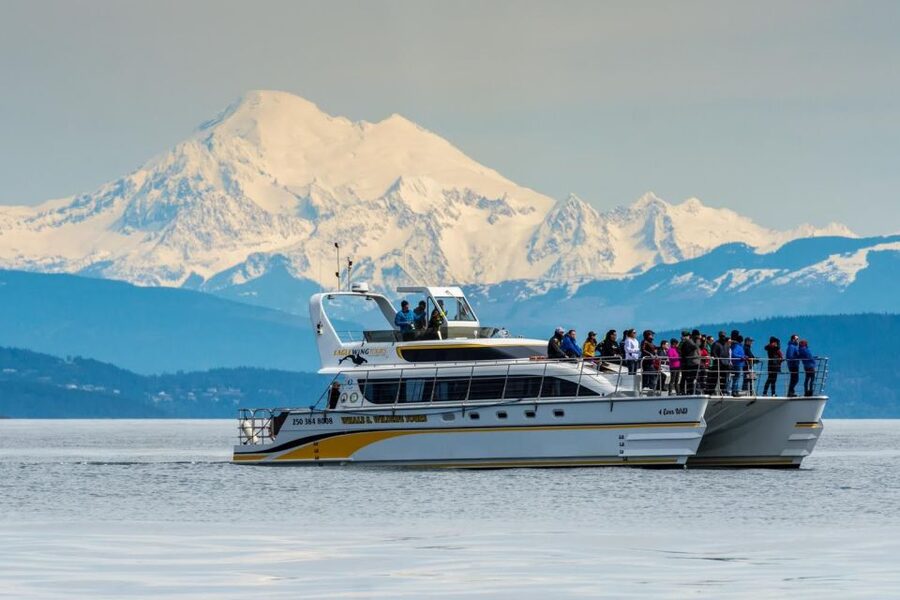 Victoria: Whale and Wildlife Semi-Covered Boating Tour - The Guide Experience: Interpretation That Makes Sightings Click