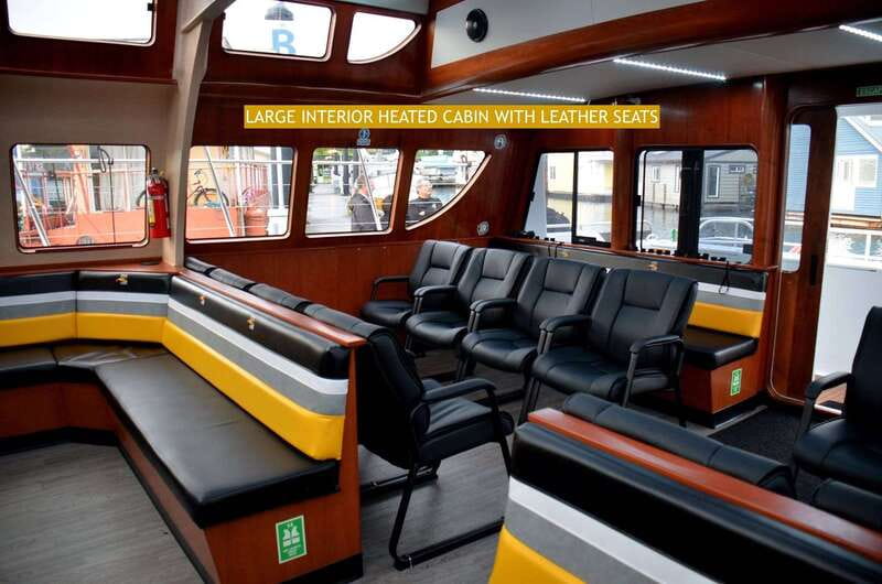 Victoria: Whale and Wildlife Semi-Covered Boating Tour - Price and Value at $136: What You Actually Pay For