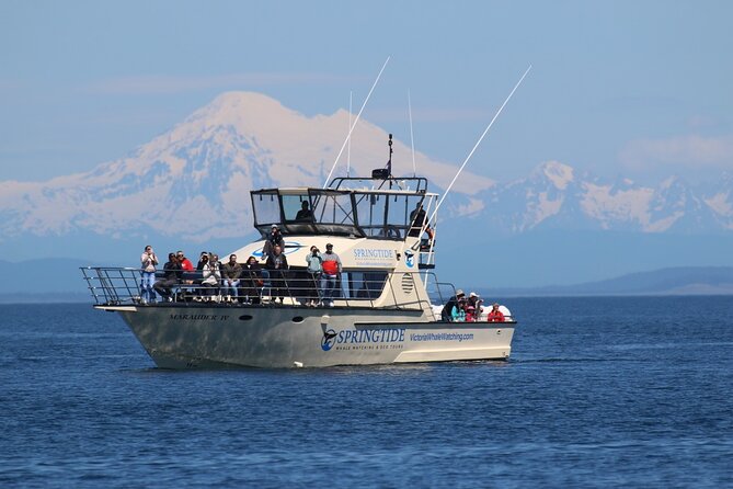 Victoria Whale Watch Tour - Key highlights worth getting excited about