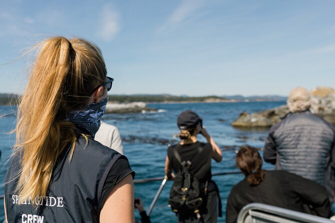 Victoria Whale Watch Tour - Morning vs afternoon departures, and how to choose