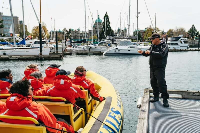 Victoria: Whale Watching Adventure in a Zodiac Boat - The 3-hour rhythm: harbour out, wildlife hunt, return comforts