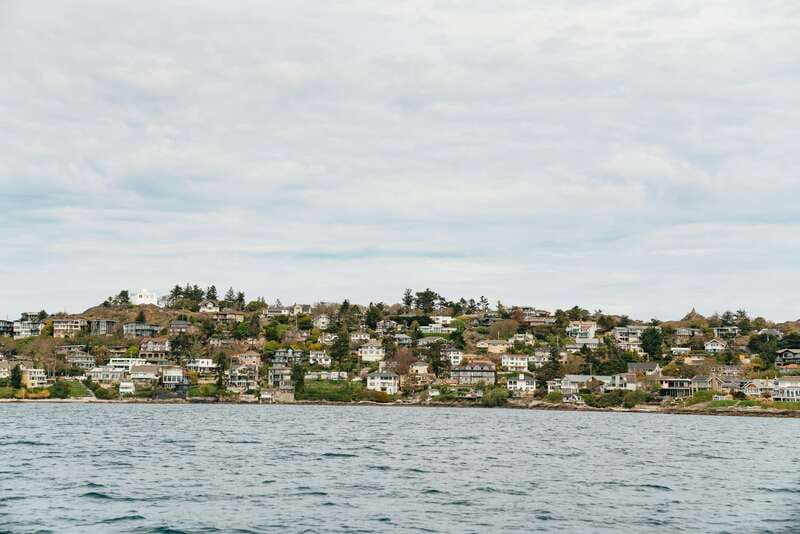 Victoria: Whale Watching Adventure in a Zodiac Boat - Price and value at $149 for a 3-hour hunt