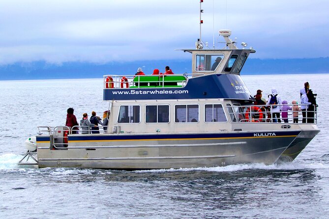 Victoria Whale Watching Cruise with Expert Naturalists - Key highlights worth your attention