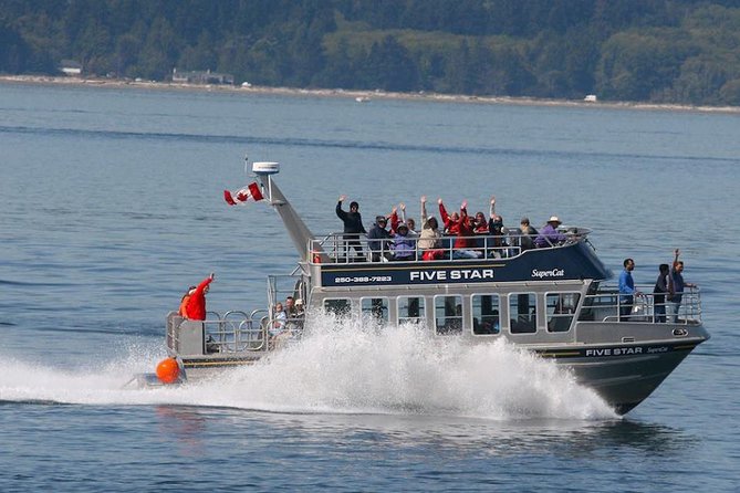 Victoria Whale Watching Cruise with Expert Naturalists - The Boat and the Naturalists: What Makes This Cruise Work