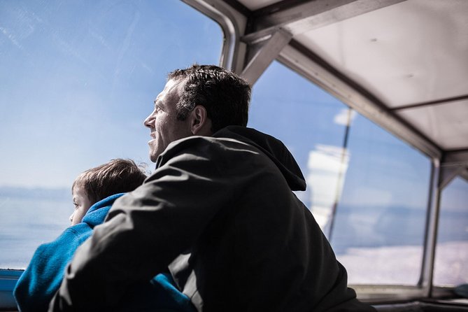 Victoria Whale Watching Tour on a Covered Vessel - Meeting at Kingston St, Then Out to the Wildlife Zones
