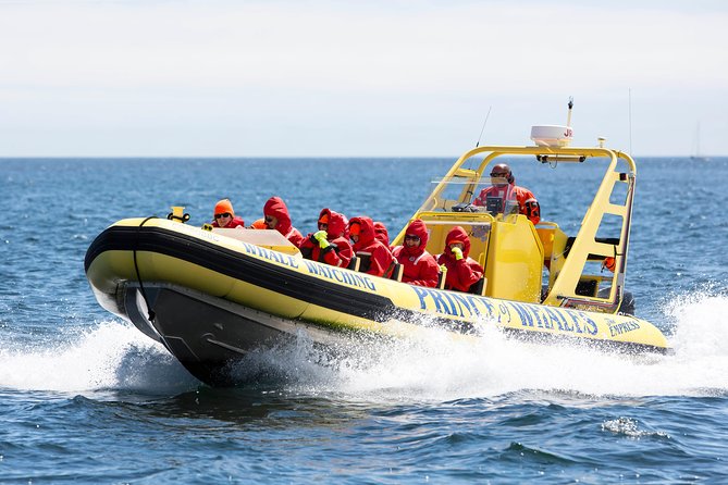 Victoria Zodiac Boat Whale Watching Adventure - The whale sightings guarantee, and how it helps you decide