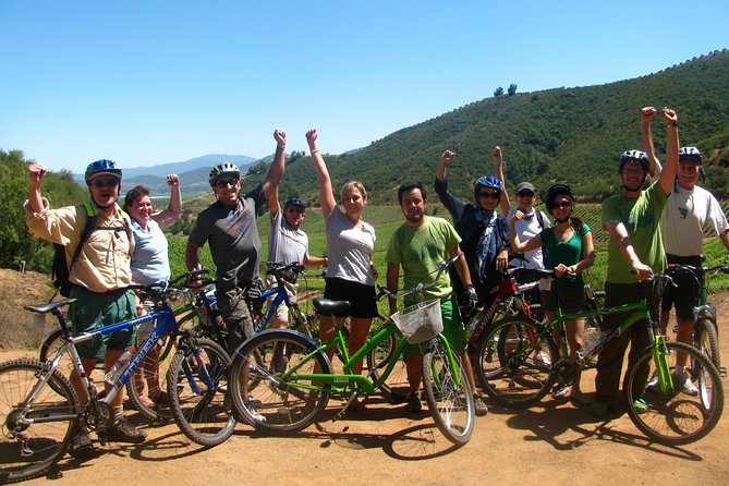 Vine and Dine Bicycle Wine Tour with Lunch - Wine purchases you do not have to carry