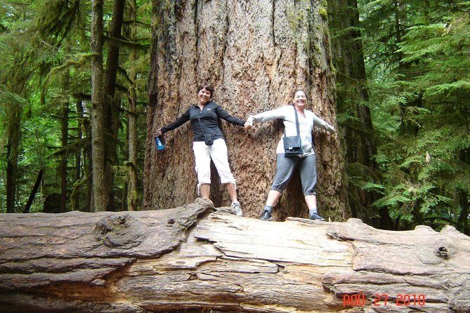 Waterfalls, Coombs and Cathedral Grove Rainforest Tour - Key Highlights You’ll Actually Feel