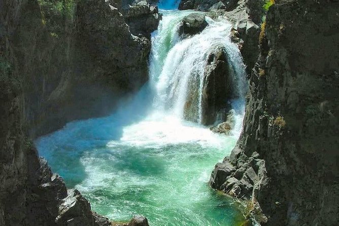 Waterfalls, Coombs and Cathedral Grove Rainforest Tour - A Private Forest-and-Waterfall Day That Starts Easy in Victoria