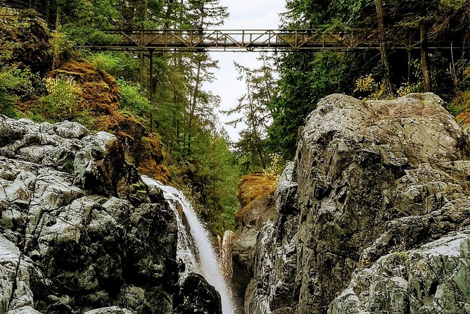Waterfalls, Coombs and Cathedral Grove Rainforest Tour - Who This Tour Suits Best (And Who Might Want Something Else)