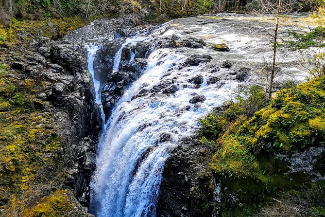 Waterfalls, Coombs and Cathedral Grove Rainforest Tour - Price and Value: What $711.85 Per Group Gets You
