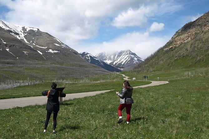 Waterton-Glacier International Peace Park | Be a Wildflower - Akamina Parkway (Cameron Lake Road): The Wildlife Chance Comes With the Drive