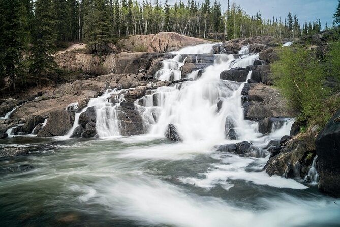 Waterton Lakes National Park Scenic Day Tour from Calgary - Bison Paddock (or Okotoks Big Rock) Plan B