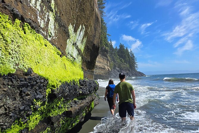 West Coast Wildlife Rainforest Waterfall and Beaches - A 6.5-Hour West Coast Lineup: Road, Rainforest, Falls, Seals