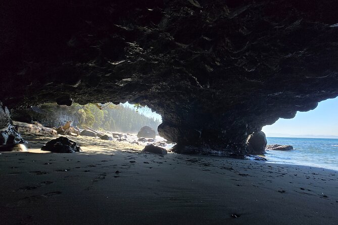 West Coast Wildlife Rainforest Waterfall and Beaches - Shirley Delicious Lunch Break: Wi-Fi, Bathrooms, and Time to Reset