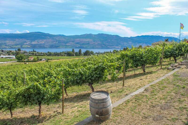 West Kelowna: Afternoon Sightseeing and Wine Tour - Key things that make this tour work