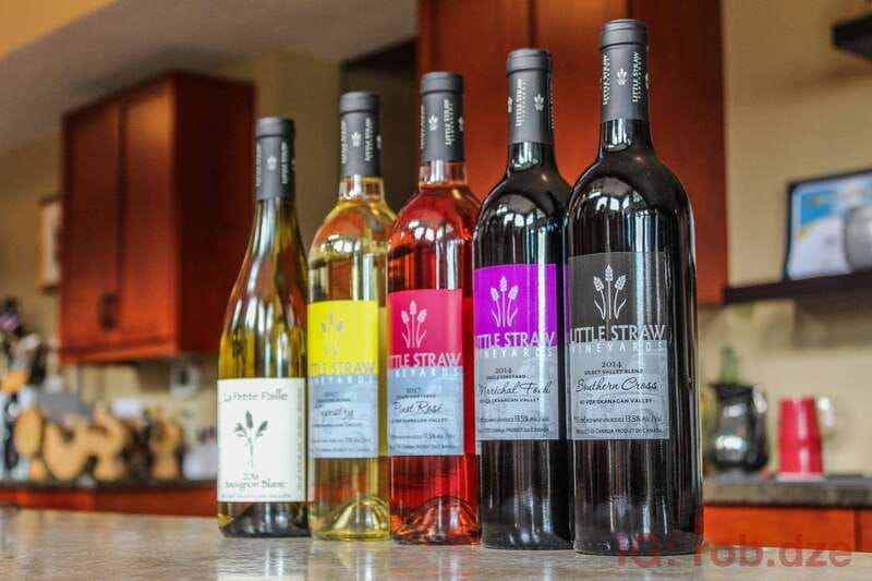 West Kelowna: Afternoon Sightseeing and Wine Tour - Four winery stops in four hours, and how to taste smart
