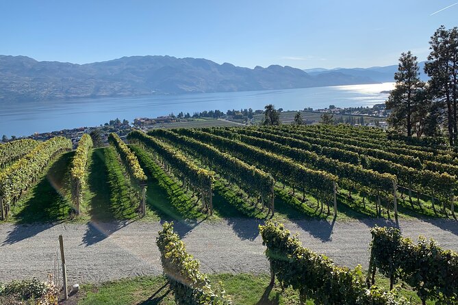 West Kelowna Full Day Wine Tour - Pickup Plus Wine Concierge: Why This Tour Feels Effortless