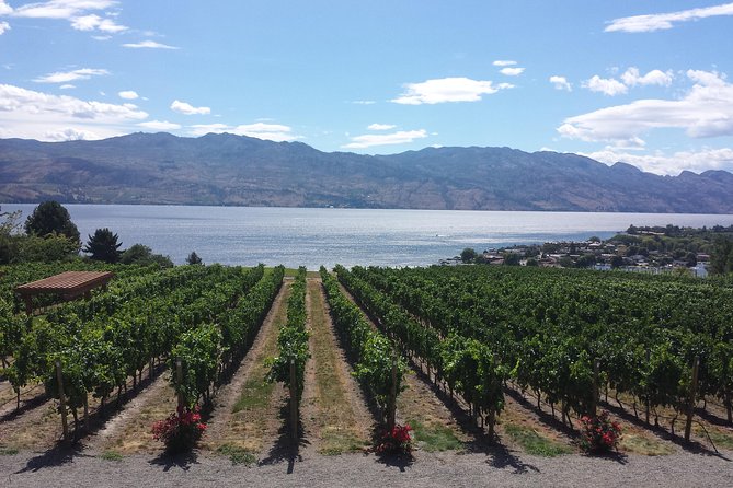 West Kelowna Gallery Of Grapes Wine Tour - Key things to know before you go