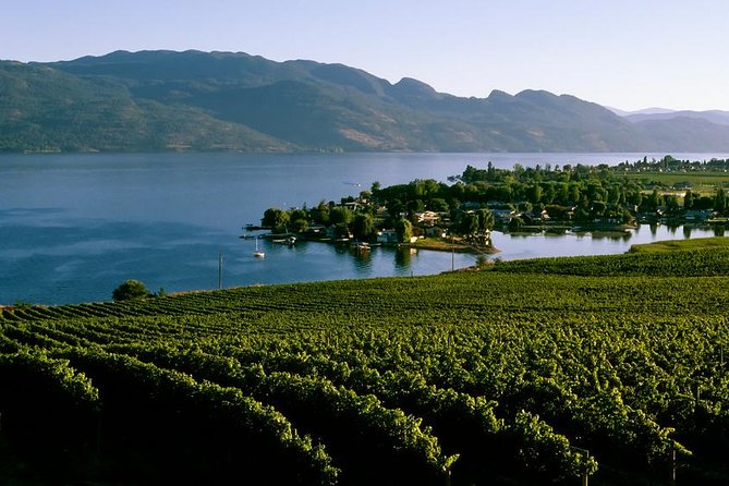West Kelowna Wine Tour - Classic - 4 Wineries - Key Points Before You Go