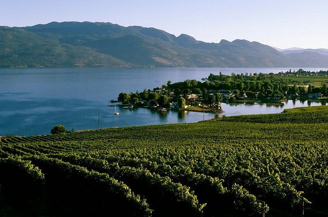 West Kelowna Wine Tour - Classic - 4 Wineries - Stop 1: Indigenous World Winery and Its Lake-View Patio