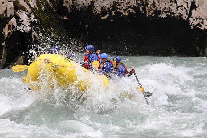 Wet and Wild Elaho Exhilarator Rafting - Wildlife and scenery: what you see between the rapids