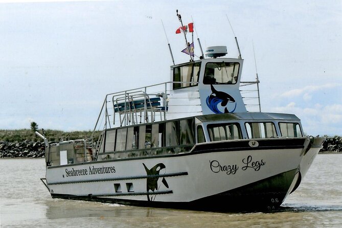 Whale Watching Adventure from Vancouver BC - Price and value: what $184 buys you on this whale route