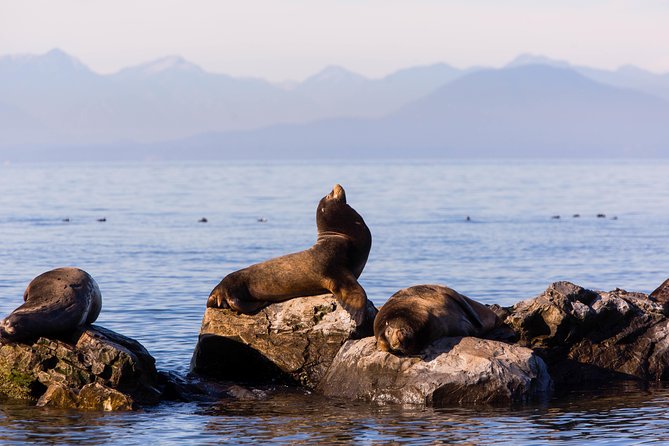 Whale-Watching Tour from Vancouver - Entering the day: check-in, Steveston departure, and your first look
