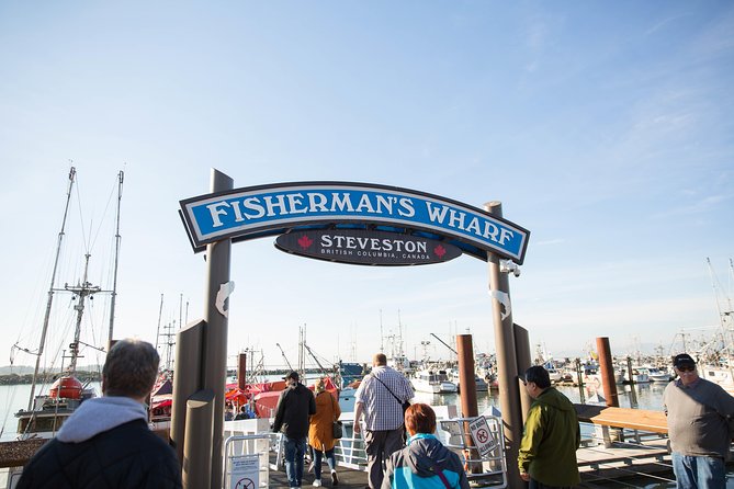 Whale-Watching Tour from Vancouver - Wildlife targets: what you can realistically hope to see