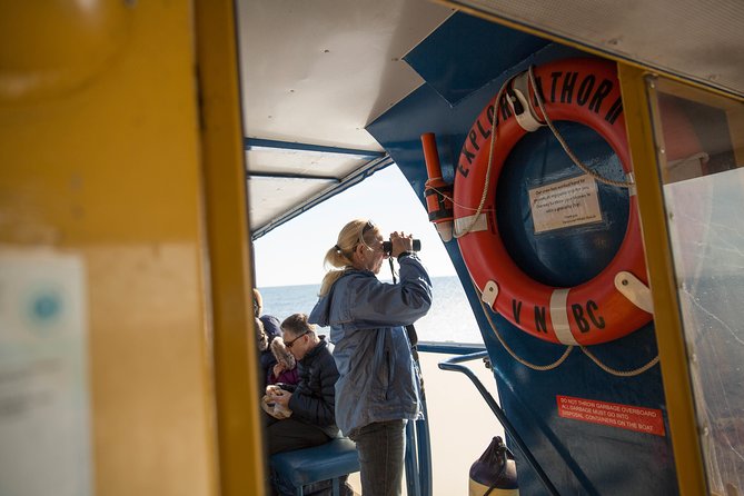 Whale-Watching Tour from Vancouver - On board experience: comfort, photos, and the “bring a coat” rule
