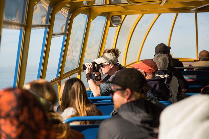 Whale-Watching Tour from Vancouver - The crew and naturalist touch: why it feels more than sightseeing