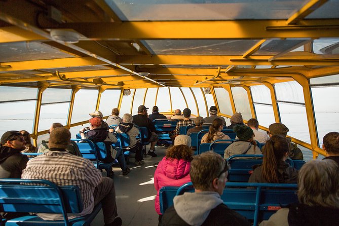Whale-Watching Tour from Vancouver - Price and value: is $157.09 per person worth it?