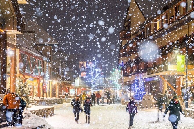 Whistler 1-Day Tour from Vancouver (Chn&Eng) - Pickup and timing: how the day usually runs